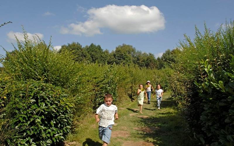 Photo-1-d-appel_tourime_limousin_diapo_750-photo-around