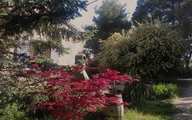 esterieur ecureuils printemps coté barb