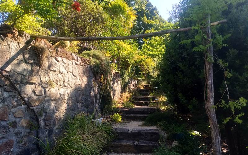 Le Jardin