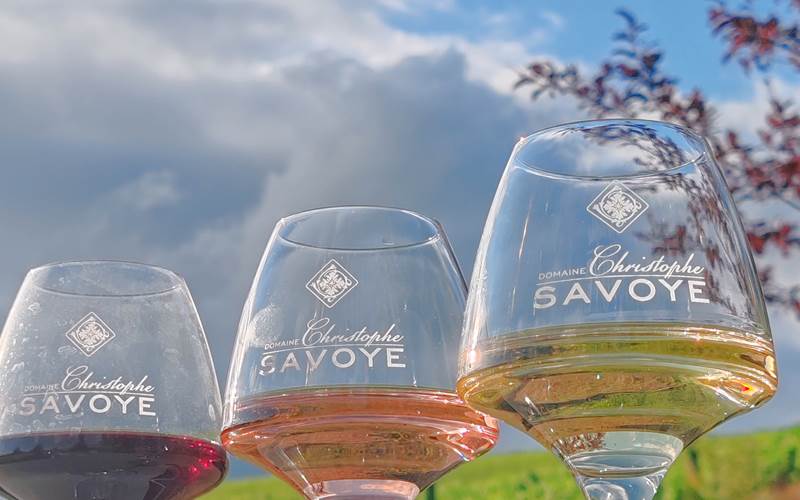 Verre de dégustation