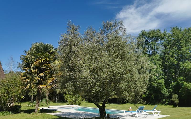 Gîte avec piscine privée, dans la vallée de la Dordogne