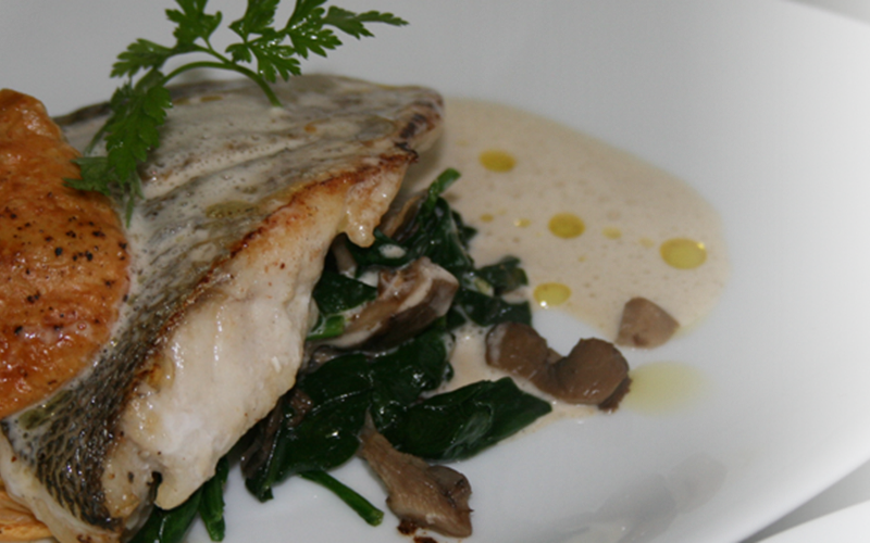 d8cbd1c2-f3a7-4496-ab58-5c33af9dbac2-photo-around