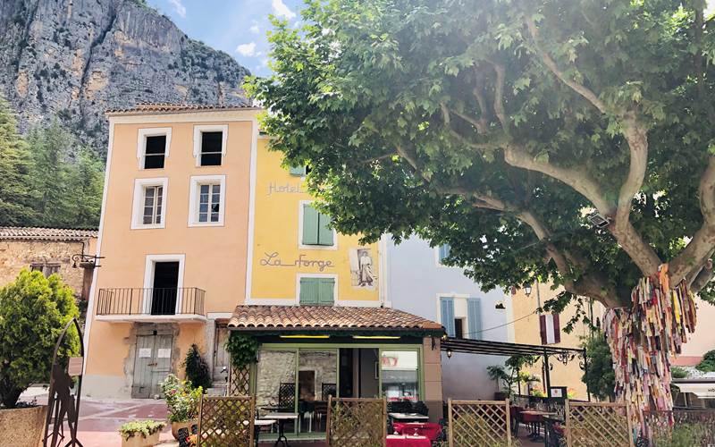 Hôtel Restaurant La Forge - terrasse sous l'ombre d'un platane