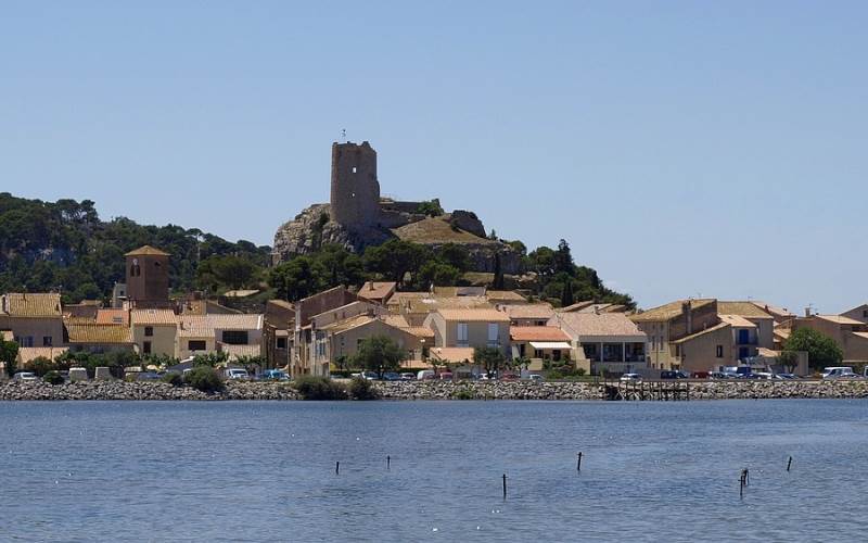 d99164cc-30ca-4d7d-bb7e-5703cbff706f-photo-around