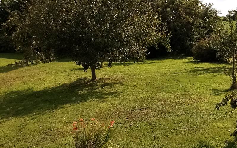 Le jardin