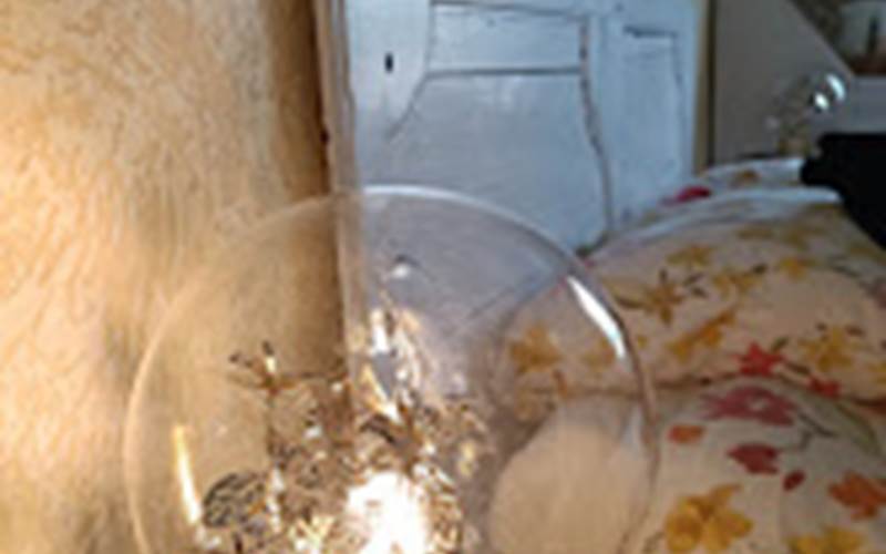 ambre4