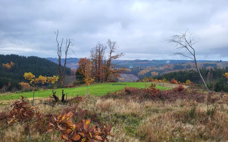 Le pré de Régine et Joseph