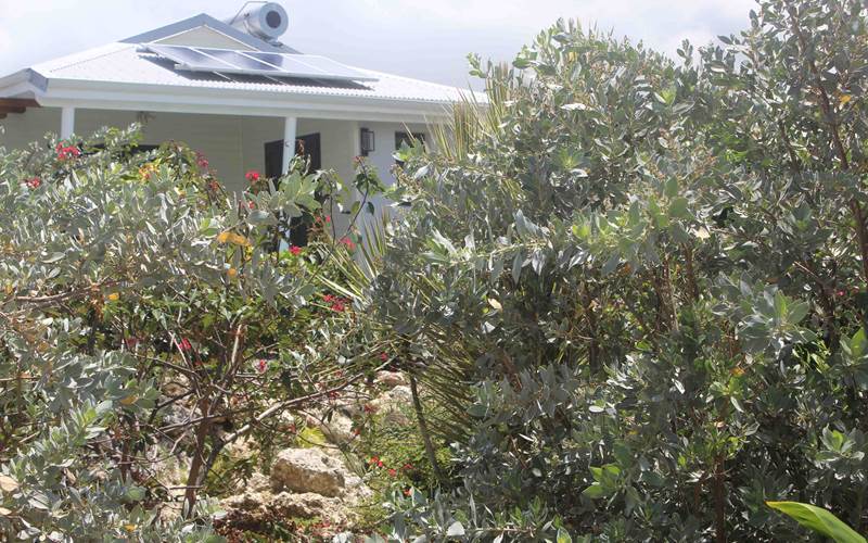 Iguane House villas & Micro Spa Villa Mangrove vue depuis le jardin paysagé