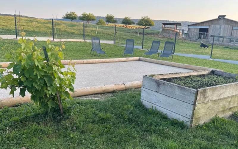 Terrain de boules, transats, pieds de légumes et vigne pour profiter pleinement de l’extérieur à disposition de nos voyageurs