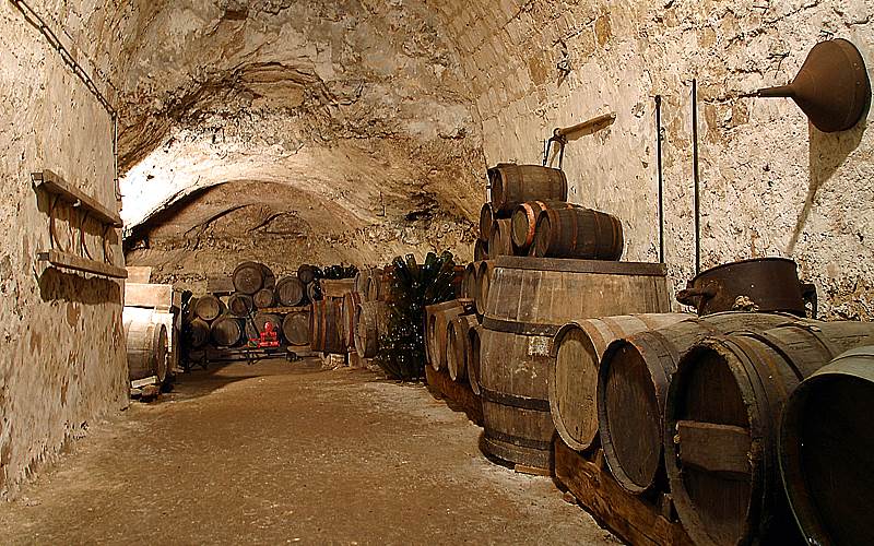 Ecomusee-des-Vignerons-et-Artisans-Drouais