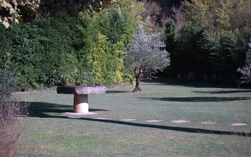 Jardin FullSizeRender