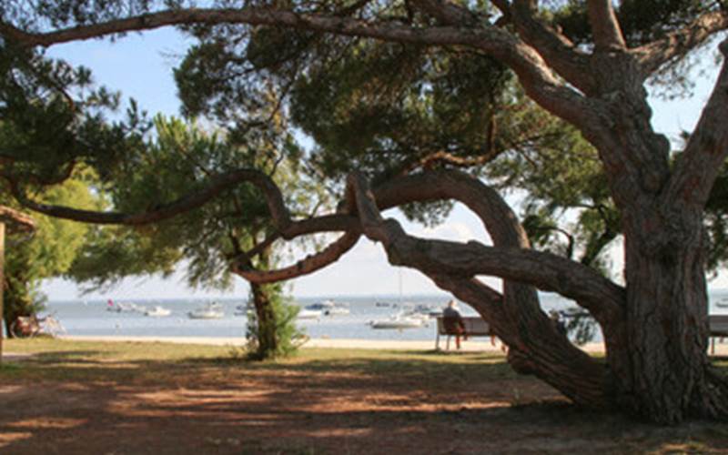 Plage du Betey Andernos