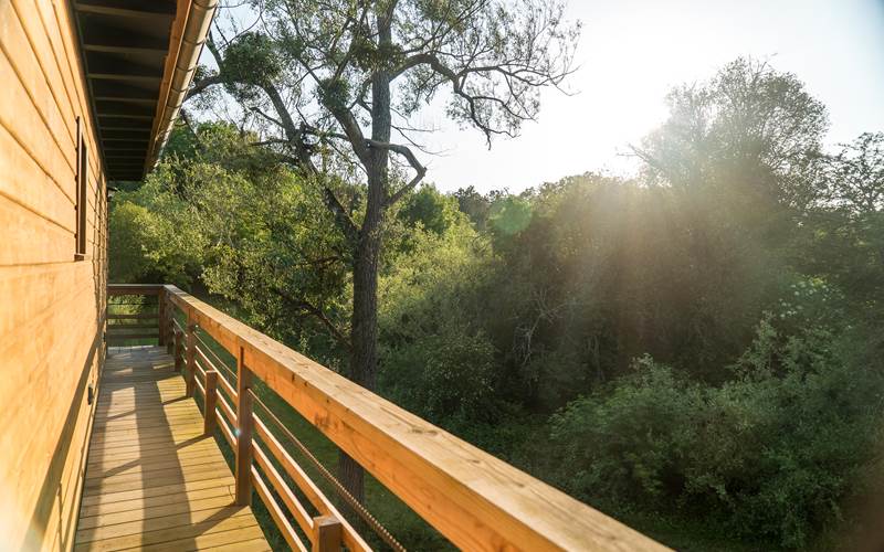 Coursive côté campagne