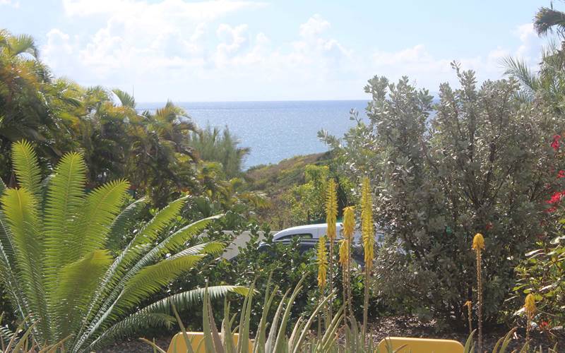 Iguane House villas & Micro Spa Villa Mangrove vue mer