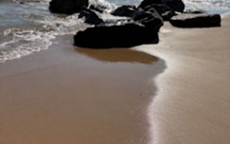 Plages vendéennes