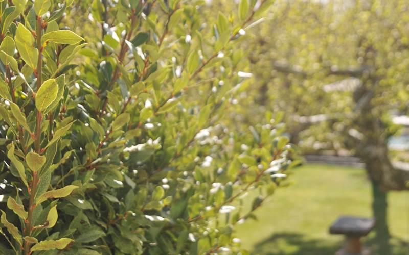 La vue depuis la chambre Bleu Céruléum