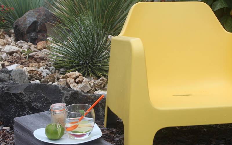 Villa Lagon apéro time dans le jardin d'ornement