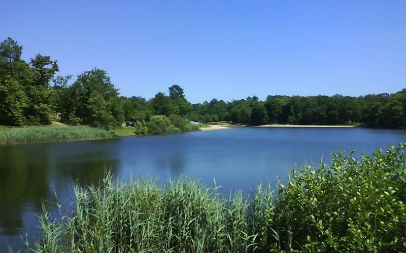 ETANG VALLIER