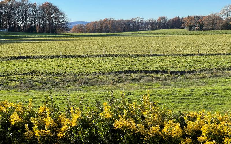 Domaine Pâquerettes et Pissenlits