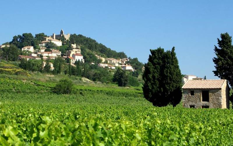 ff88853f-455f-4810-9cb6-48a2b6a0e1c3-photo-around