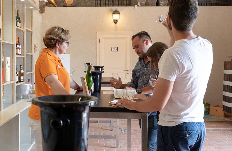 PO-Chateau-de-Laulee-gaellebc-JPGCoulweb-022