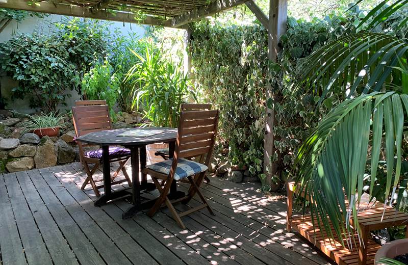 La terrasse est ombragée par une grande glycine