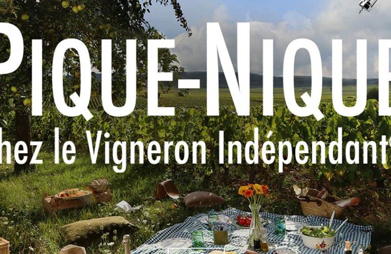 Pique nique vigneron