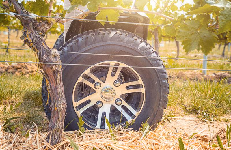 Balade classique en gyropode ou trottinette électrique dans le vignoble