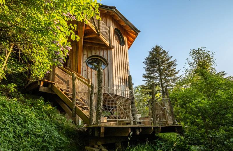 cabanes dans les arbres vosges