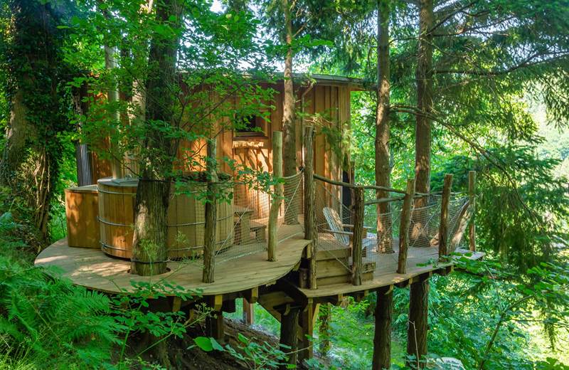 Cabane en bois dans les arbres
