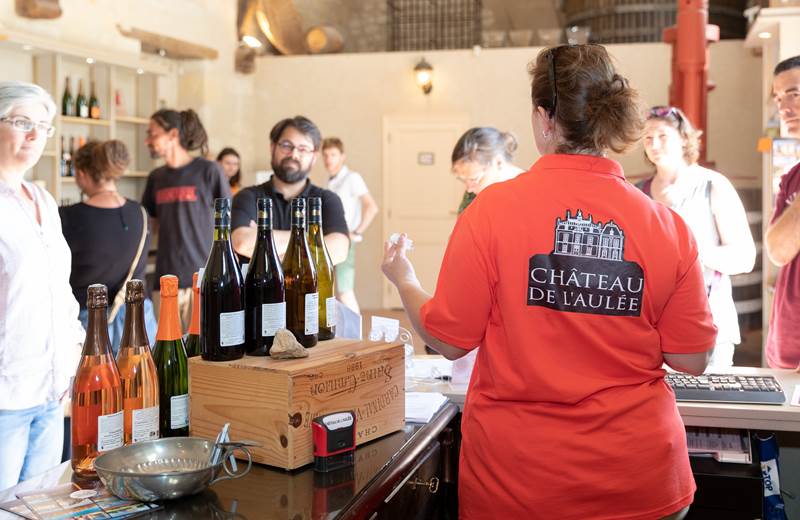 PO-Chateau-de-Laulee-gaellebc-JPGCoulweb-145