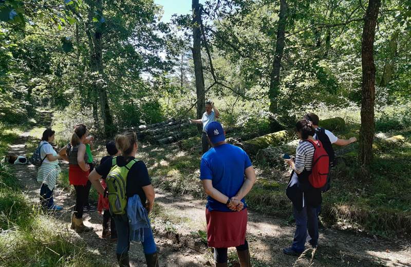 des groupes à l'écoute