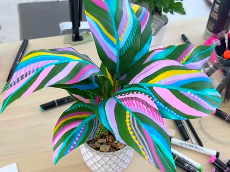 holika Ateliers Créatifs Mons