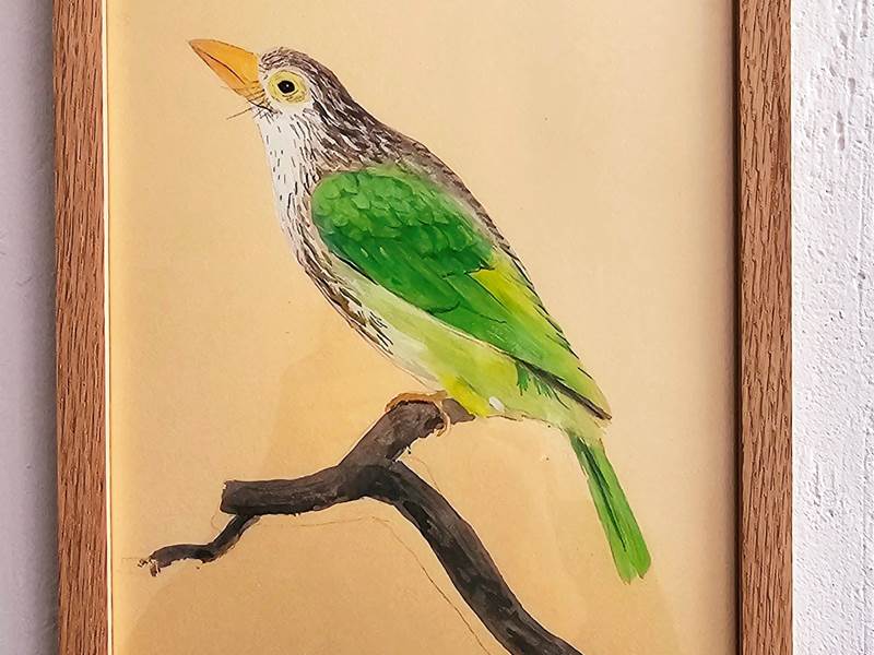OISEAU4