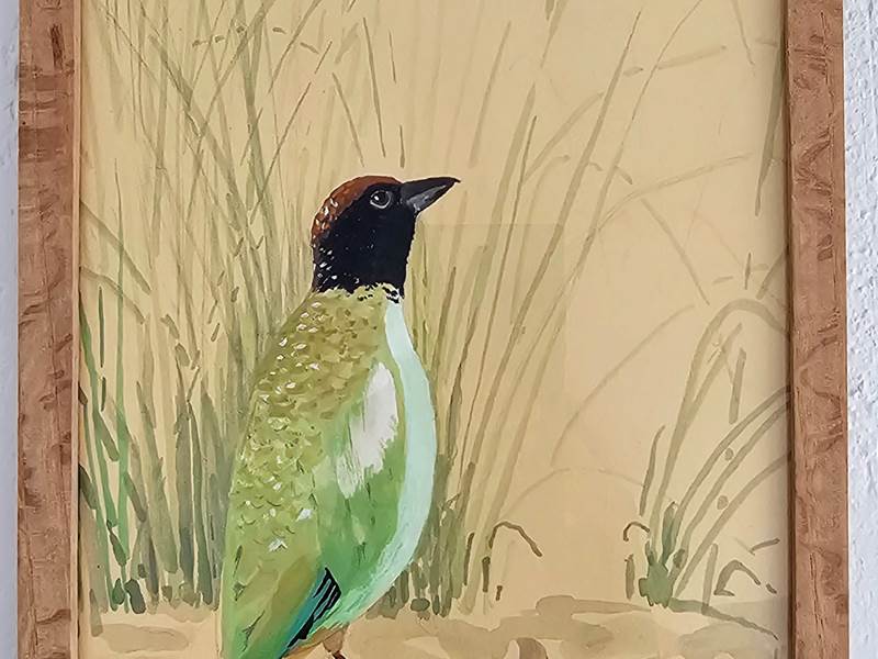 OISEAU2