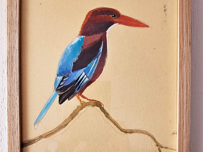 OISEAU1