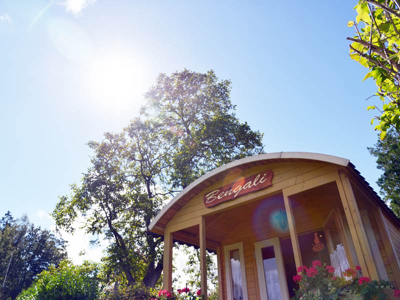 Insolites Chimay Bengali 02