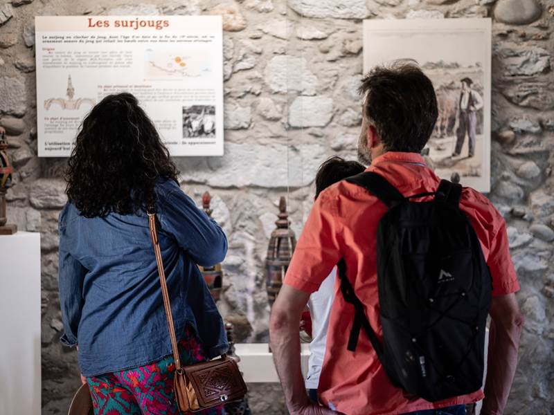 Chateau-fort-visite-pyrénées
