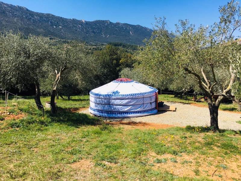 Habitat nomade tout en rondeur