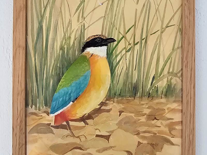 OISEAU3