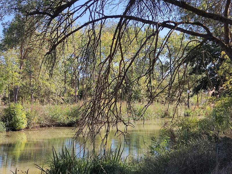 Le long du Canal du Midi