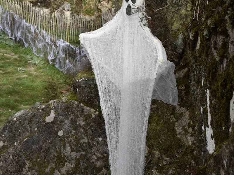 Fantômes Merle ©B.Bardi