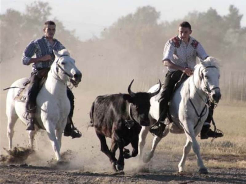 Soirée Camarguaise
