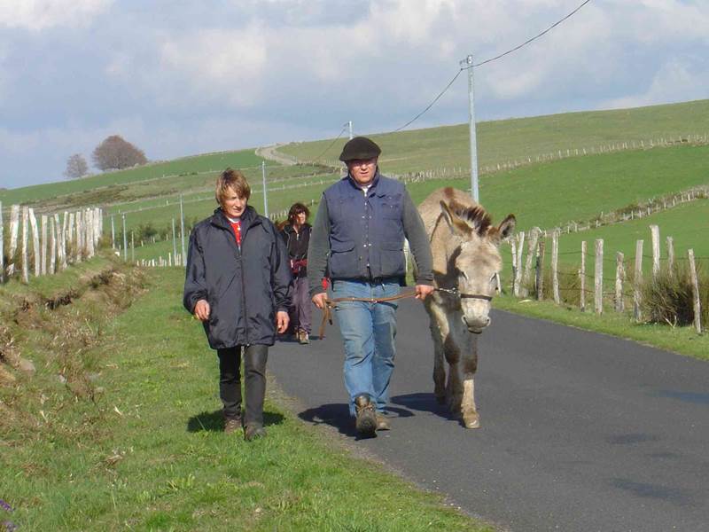 Nostalgie sur l'Aubrac avec nos ânes