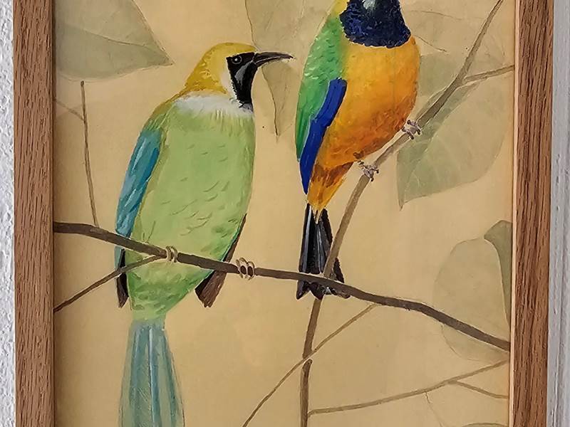 OISEAU5
