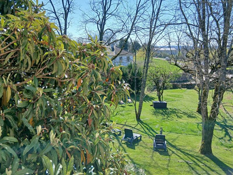 la vue coté cuisine sur le parc