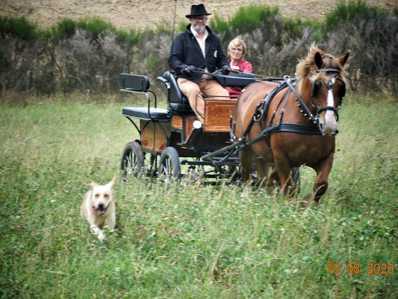 La famille en balade