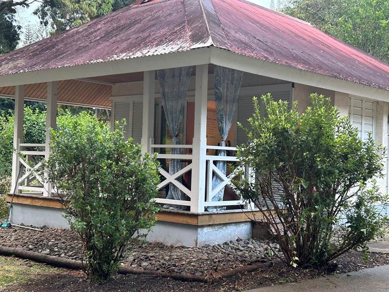 Bungalow Sarraméa Dépaysement