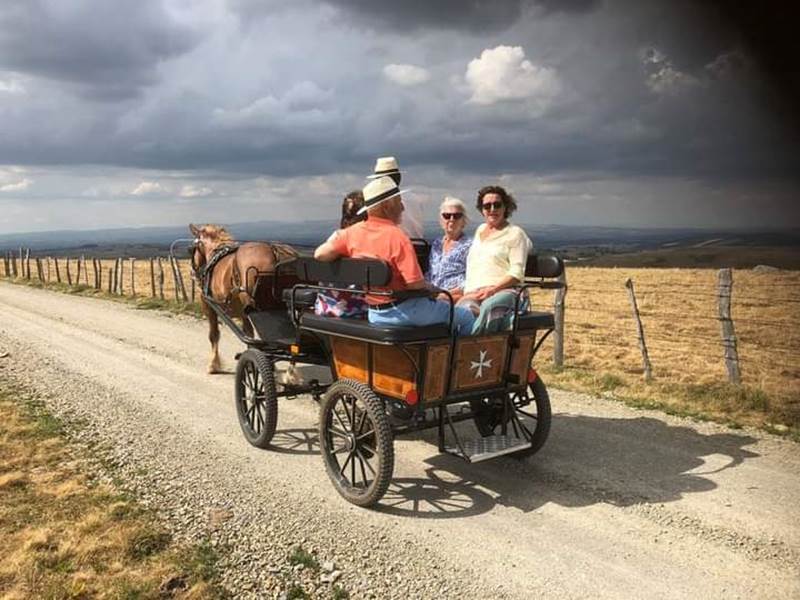 Balade en toute liberté