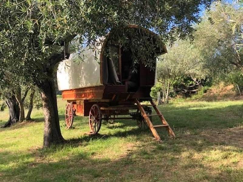 Authentique roulotte hongroise